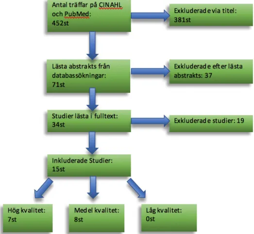 Figur 1. Flödesschema inspirerat av SBU:s metodbok (SBU, 2014). 