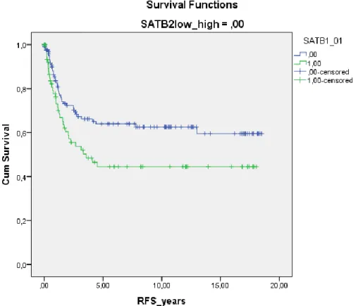 Figur 5. Korrelation mellan SATB1 och SATB2 och överlevnad. Övre linjen visar  negativt SATB1 och nedre linjen visar positivt SATB1