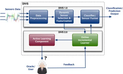 Figure 1. The DIVS data processing pipeline. DIVS 1.0 belongs to previous work and DIVS 2.0 is the  extension included in this paper