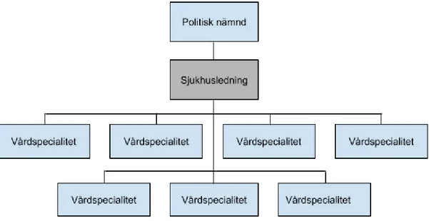 Figur 1.  ​Sjukhusets organisation.  2.4 Intensivvårdsverksamhet 