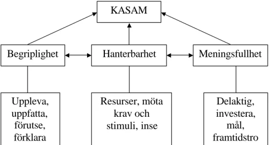 Figur 1. Schematisk bild över KASAM formaterad av Bergdahl &amp; Wändesjö.