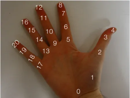Figure 8: Hand coordinates