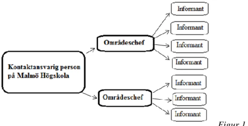 Figur 1. Översikt urval 