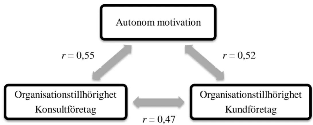 Figur 3: En översiktsbild av orsakssambanden mellan upplevd autonom motivation,  organisationstillhörighet till konsultföretaget och organisationstillhörighet till kundföretaget.