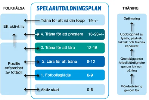 Figur 1. Spelarutbildningsplanens nivåer. Svenska fotbollförbundet Spelarutbildningsplan (2013, s.10)