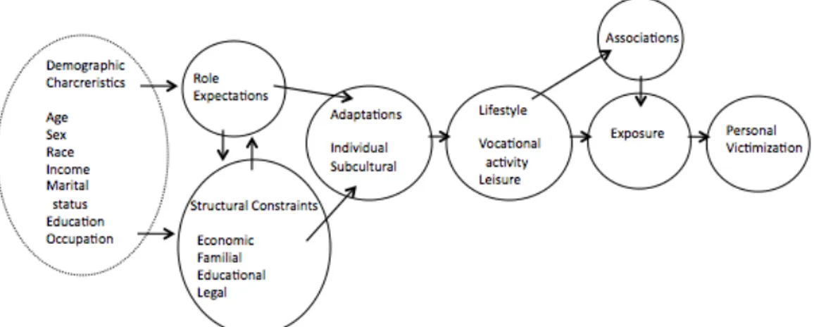 Figur 1.  Visualisation of the classic lifestyle exposure theory. Efter Hindelang  m.fl