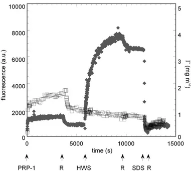 Fig. 1. Kinetics (total adsorbed amount (Γ ; mg m −2 ) versus time (s)) of the sequential adsorption of statherin and HWS on hydrophilic silica (E) and hydrophobized silica (F)