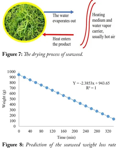 Figure 8: Prediction of the seaweed weight loss rate  model.