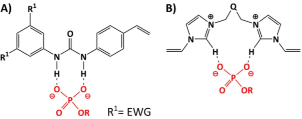 Figure 2.  Monomers and binding ability. Theoretical hydrogen bonding interactions with the target  phosphate group and (A) 1,3-diarylurea host monomers or (B) bis-imidazolium host monomers.