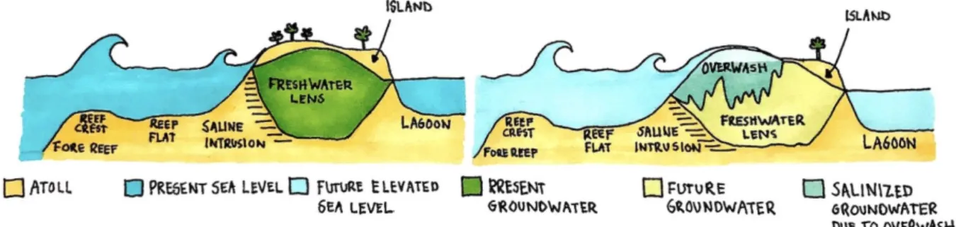 Figure 3. Before (left) and after (right) SLR and the impact on the freshwater lens. As the sea level rises, more  saltwater will infiltrate underneath the freshwater lens, but it will also create more overwash and flooding resulting  in infiltration from 