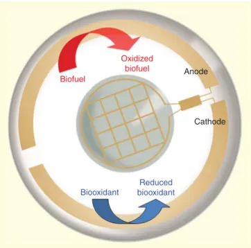 Figure 1. Contact lens with fuel cell fitted (the golden