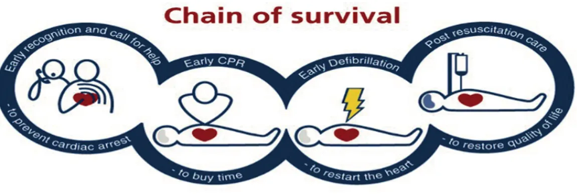 Figur 1. The European Resuscitation Councils; Chain of survival. 