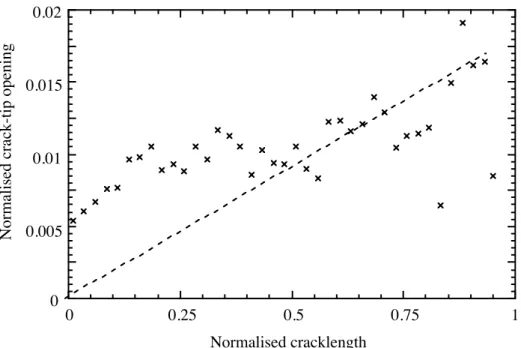 FIGURE 8. Crack tip width versus crack length, for different crack lengths, normalized with largest computed crack lentgth, a.