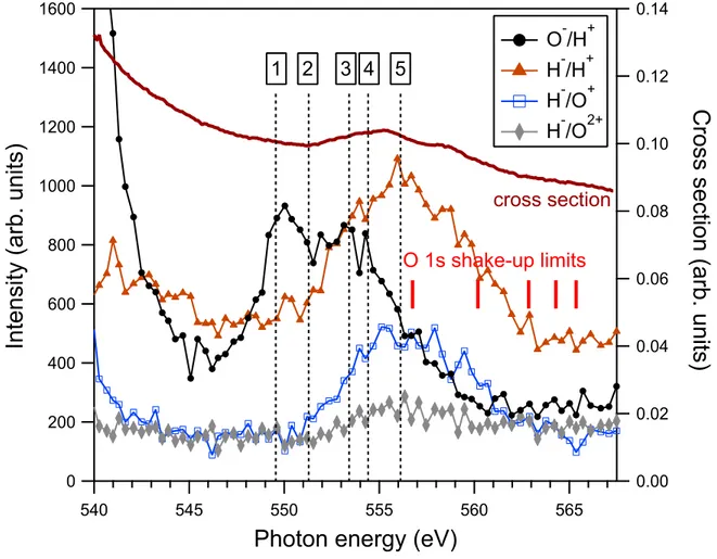 FIG. 3. Integrated NIPICO yields above the ionisation threshold. The photoabsorption crossection curve is reproduced from Ref