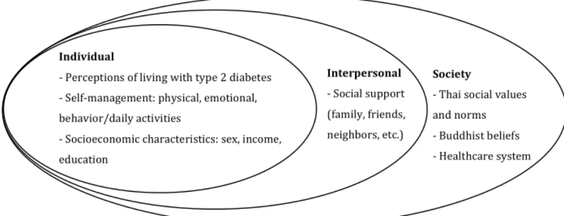 Figure 1.  The adjusted social ecological model used in this thesis