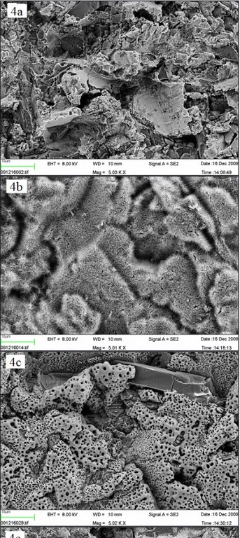 Figure 4. SEM images of Ti-discs prior to incubation in SBF (x 5,000) 