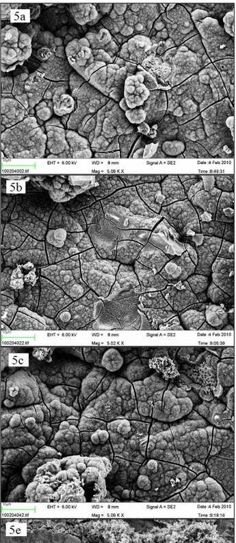 Figure 5. SEM image of a Ti-discs after incubation in SBF for 1 week (x 5,000) (a) B = blasted; (b) AH = alkali and heat treated;  (c) AO = anodically oxidized; (d) HA = hydroxyapatite coated; (e) B- = blasted titanium incubated in non laminin containing S