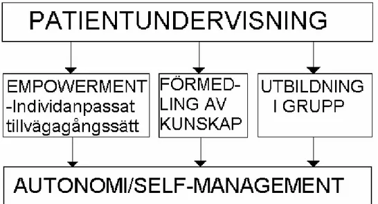 Figur 1. Överblick av, utifrån patientundervisning, identifierade kategorier och  subkategori, samt ”autonomi” och ”self-management” som ett mål och resultat  av dem