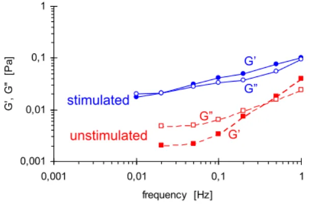 Figure 1. Mechanical spectra of stimulated  (blue, solid lines) and unstimulated (red, 