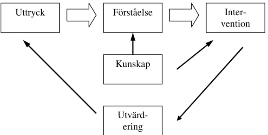Figur 1. Modell för BPSD efter Eriksson et al (2008, s 11) 