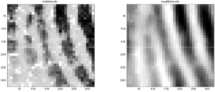Figure  10:   A  32-by-32  pixels-squared  cell  before  (left)  and  after  (right)  frequency  amplification with k=0.8