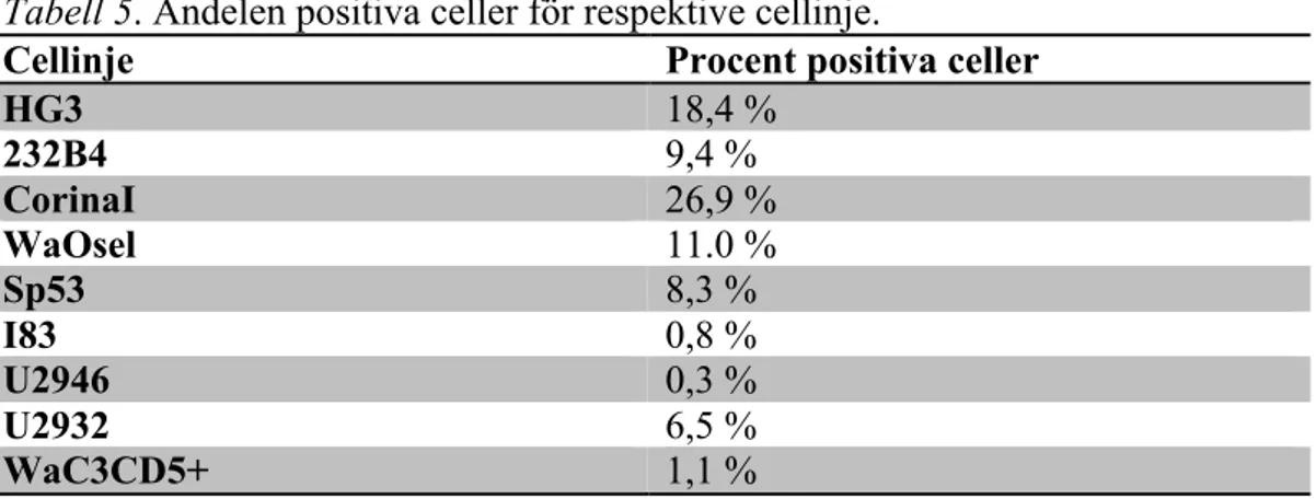 Tabell 5. Andelen positiva celler för respektive cellinje. 