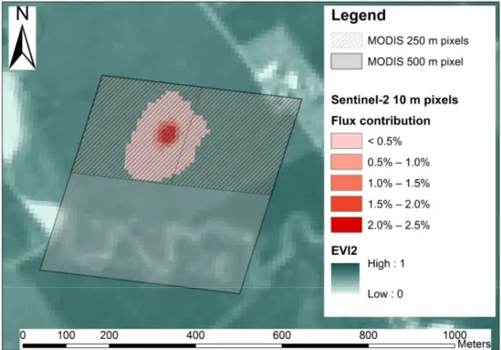 Figure 4. An example of the corresponding Sentinel-2 and MODIS pixels and the flux footprint site SE-Lnn