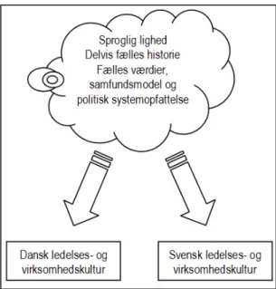 Figur 6. Paradokset mellem den fælles platform og   forskellig ledelses- og virksomhedskultur 