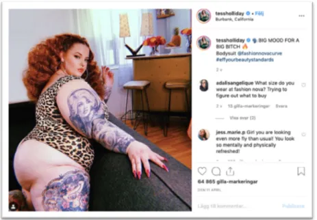 Fig. V. Print screen from the account of @tessholliday,   creator of the hashtag #effyourbeautystandards (April:2019) 