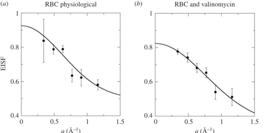 Figure 9. EISF of confined motions of Hb in horse RBCs at 288 K. (a) RBC physiological state and (b) RBCs + valinomycin