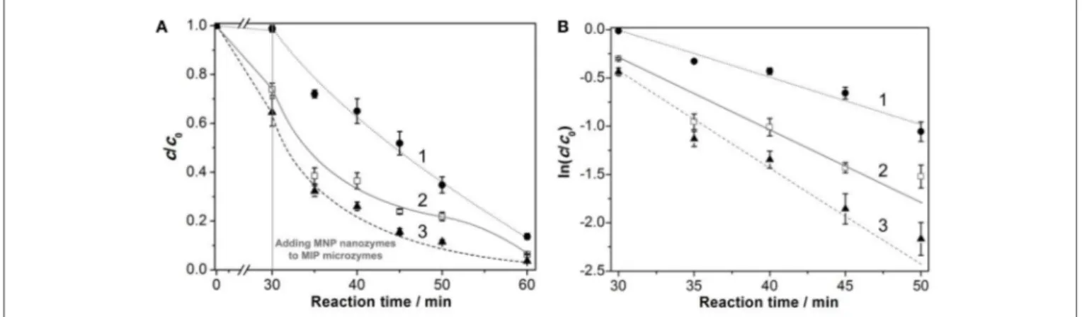 FIGURE 5 | Time course of L-SST concentration (A) and cyclization kinetics for L-SST (B) in the presence of MNP nanozymes with or without polymeric microzymes