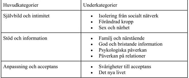 Tabell 3. Huvud och underkategorier 