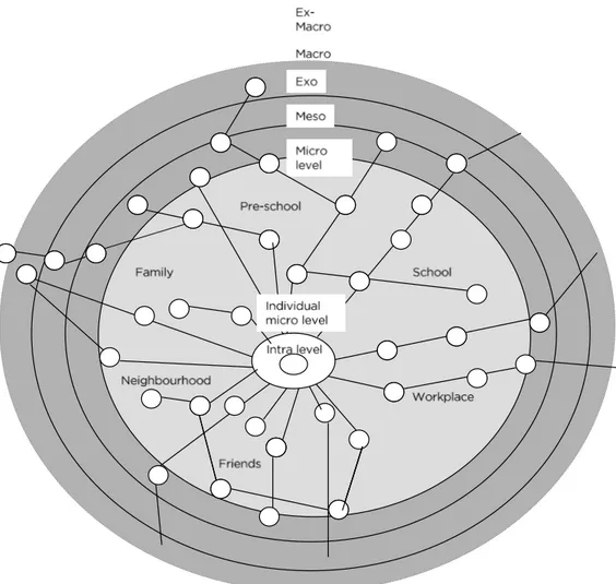 Fig. 2 Modified model of Bronfenbrenner’s Development Ecology to which an intra level  (the individual micro level) and social networks have been added