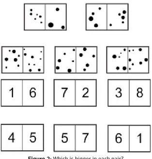Figure 2: Which is bigger in each pair?