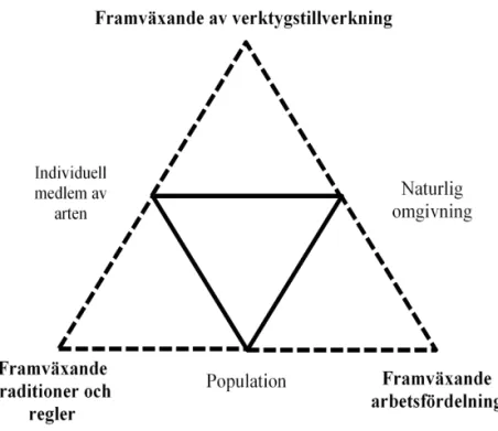 Figur  5. Övergångsfas från djurliv till mänskligt samhälle.  (Efter Engeström, 1990)