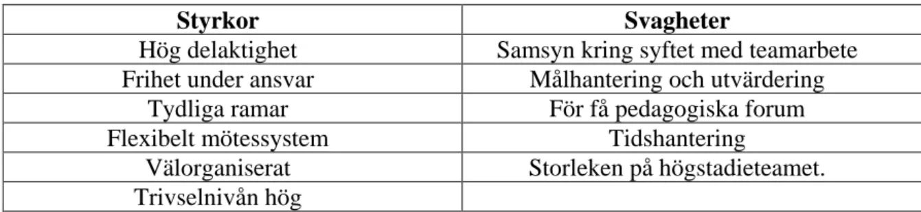 Tabell 1.3: Styrkor och svagheter som påträffades i analysfas 3 