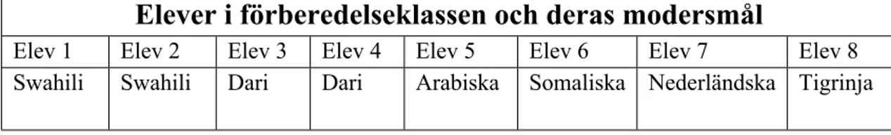 Tabell 2. Elever i förberedelseklass med uppgift om modersmål.