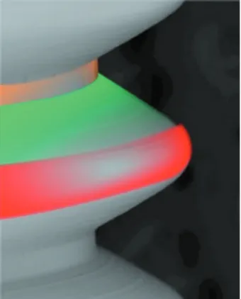 Figure 1- Red: top; green: flank; orange: valley