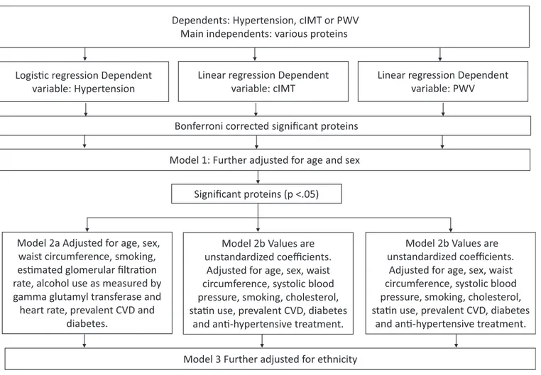 Figure 2. Flowchart illustrating the statistical analysis.