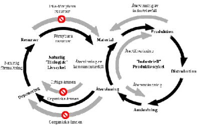 Figur 4: Illustration av de två sammanhängande livscyklerna, naturlig- och produktlivscykeln