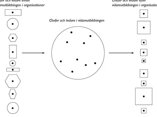 Figur 1. (Dorén &amp; Saalbach, 2013) Figuren visar hur vidareutbildningen kan bidra  till ett likformigt organisationsamhälle genom skapandet av homogena chefer