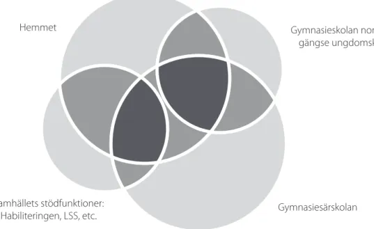 Figur 2. Där cirklarna överlappar finns de gemensamma diskursiva rummen.