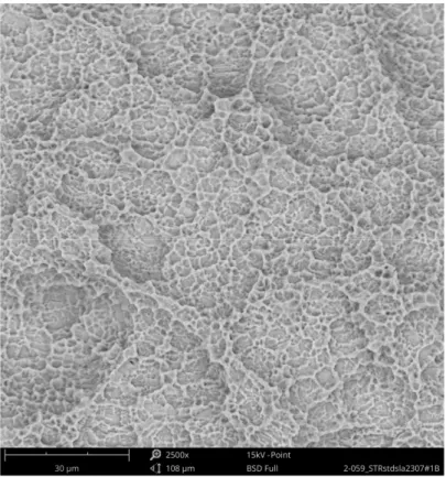 Figure 12. Surface of Standard Plus SLA implant (SEM 2500 × ); red marked area in Figure 11 with the  typical texture of a sandblasted and acid-etched titanium surface, free of foreign materials.