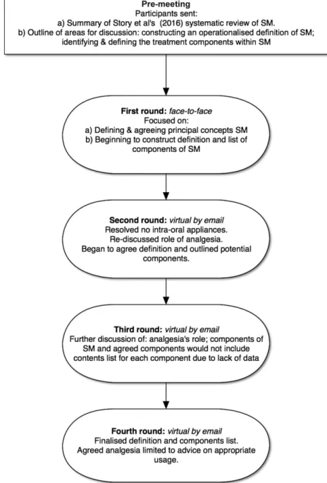 Fig. 1. Flow chart of rounds of the Delphi process summarising key actions at each round