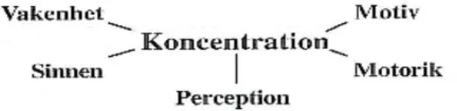Figur 1. Koncentrationsmodell (Hintze &amp; Sandberg, 2001, s. 22) 