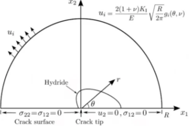 Fig. 1. Semi-infinite crack, near crack tip precipitate zone under remote mode I loading