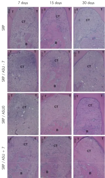 Figure 1. Representative images of the histological analysis  in all of the groups/periods of evaluation