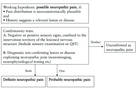 Figure 1. Grading system for neuropathic pain diagnosis (modified  from Treede et al. 2008) 
