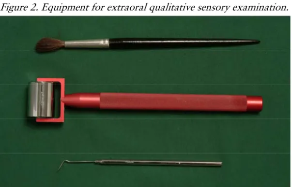 Figure 2. Equipment for extraoral qualitative sensory examination. 