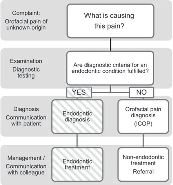 FIGURE 3 – Proposed application of the ICOP in endodontic specialist care. From a pain perspective, the primary concern of the endodontist is to identify and manage endodontic pain